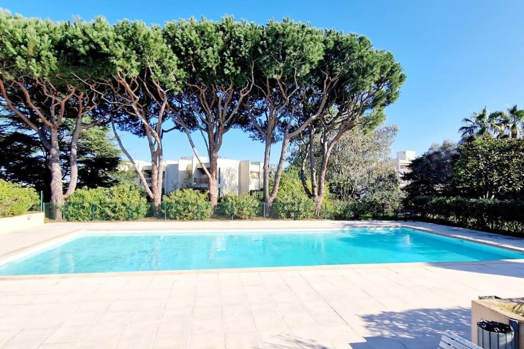 Studio Antibes Avec Piscine Dış mekan fotoğraf
